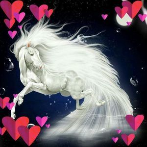 Meet your Posher, Juanita